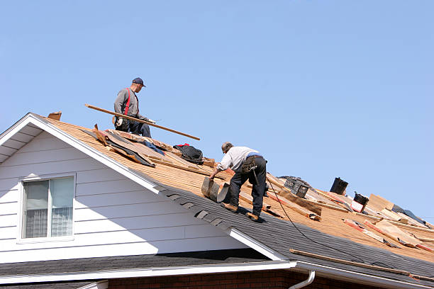 Best Skylight Installation and Repair  in Port Orchard, WA
